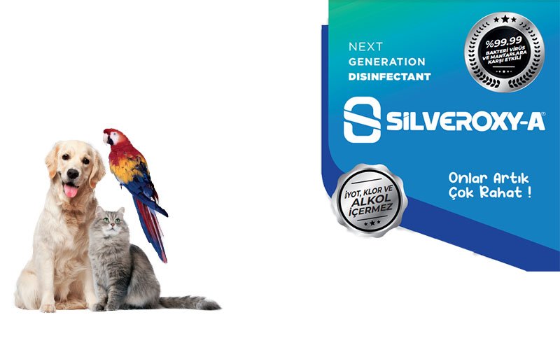 Silveroxy-A PET